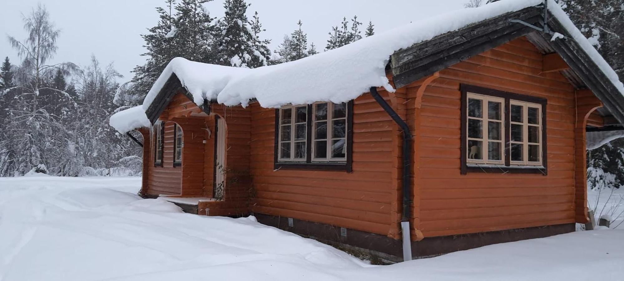 B&B Camp Aengra Lassekrog Екстериор снимка