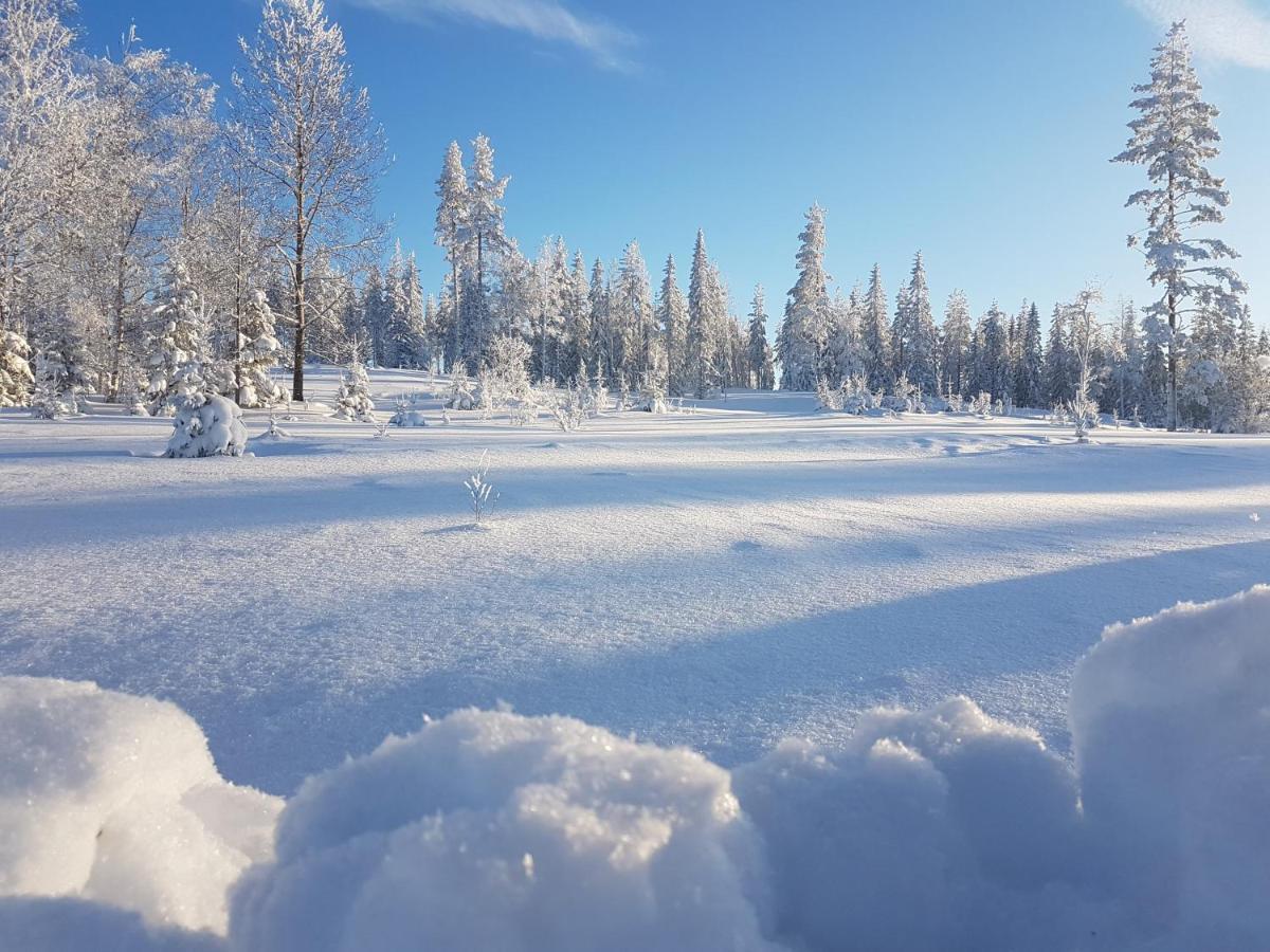 B&B Camp Aengra Lassekrog Екстериор снимка